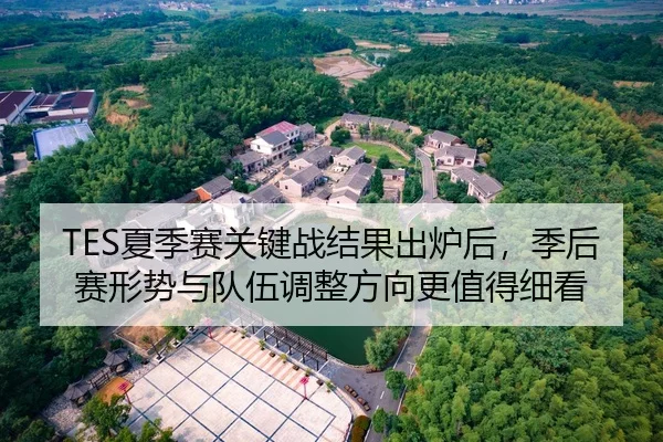 TES夏季赛关键战结果出炉后，季后赛形势与队伍调整方向更值得细看